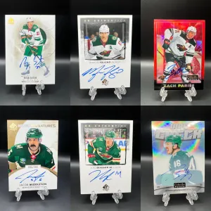 Wild Auto Lot back